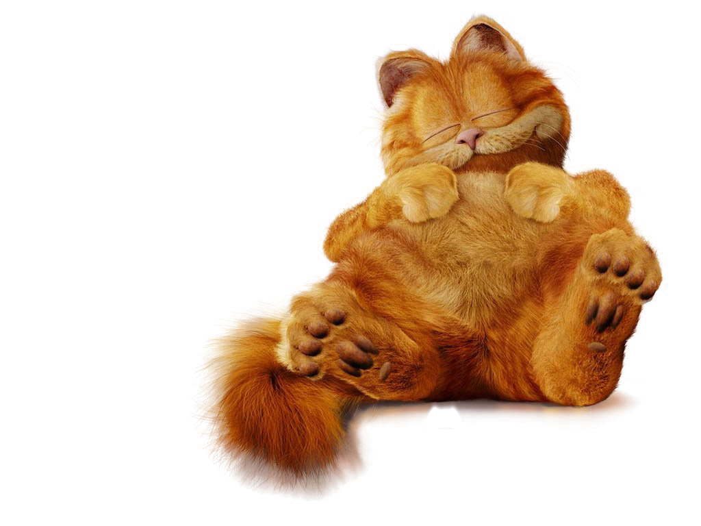 Garfield sleep
